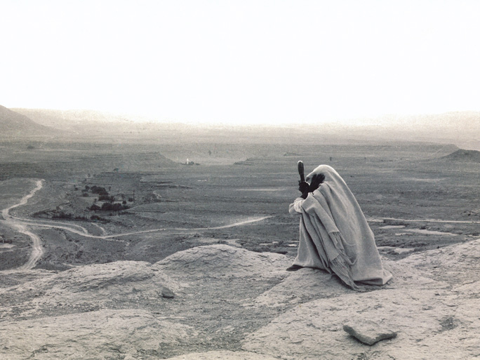 Le fils d’Amr est mort ! 