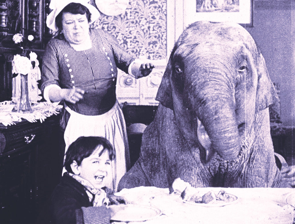 Fema La Rochelle Bout de Zan vole un éléphant, Louis Feuillade